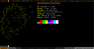 openbsd-olddell.png