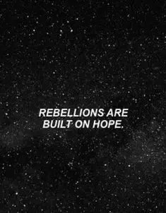 photo/29184332-041d-45a2-b10d-72354567dc11-3