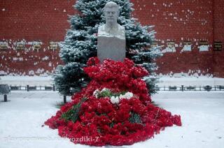 photo/417d33fc-d629-4a51-a29c-76676b9c5b4d-3