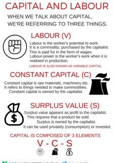 photo/4496bed4-4fc8-4fd9-85b3-221be28700bf-3