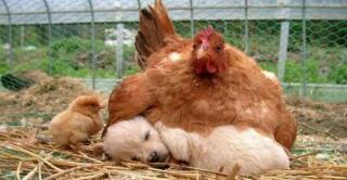 photo/4ed80110-98ed-49c7-8a69-a04f0dc84ce4-3