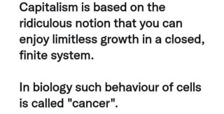 photo/6760531c-7922-4c6a-bff1-cea57d8b3f82-3