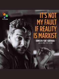 photo/76322038-70f1-4ff8-8828-7cd2c01afc56-3