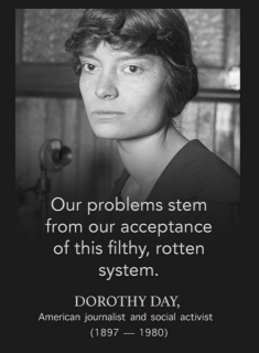 photo/77f2a347-c37d-4008-ba6c-d1eefa5d5b04-3