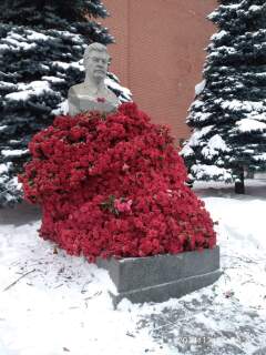 photo/7c784609-41ac-48e3-84a5-2f3fde9ae00d-3