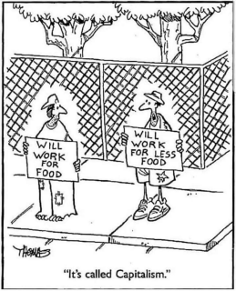 photo/8d5e0f17-2d51-40a9-8b9c-2ef857d6066e-3