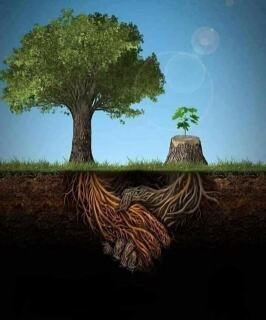 photo/94f40b71-0e82-4519-be1f-d207a70543d7-3