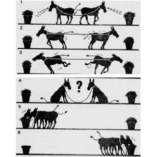 photo/9716f25c-4bf7-4591-9c38-2dce082f868b-3