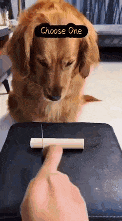 photo/9b86054c-4472-4933-b5b1-a01c17b4850e-3