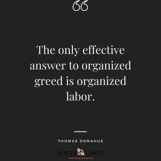 photo/ce8d8ea8-74b7-4562-9574-24d370174af2-3