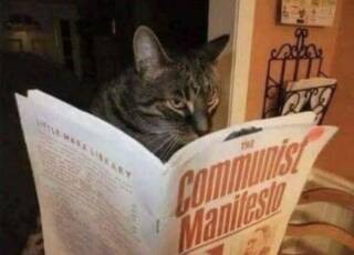 photo/d3d15fa7-3cbd-4590-ae7f-6b657340d920-3