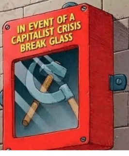 photo/d45b4b9f-68ea-4dde-9887-2cabb57145bd-3