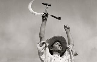 photo/dff3c151-a861-4a71-a44b-0ef42c2ffae9-3