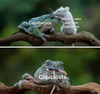 photo/e4d158ee-dfea-4b6a-abe1-c2c8996481d3-3