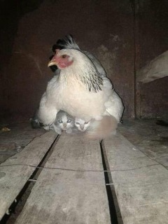 photo/ecd6f710-127b-4f62-8dae-fa74d6333e96-3